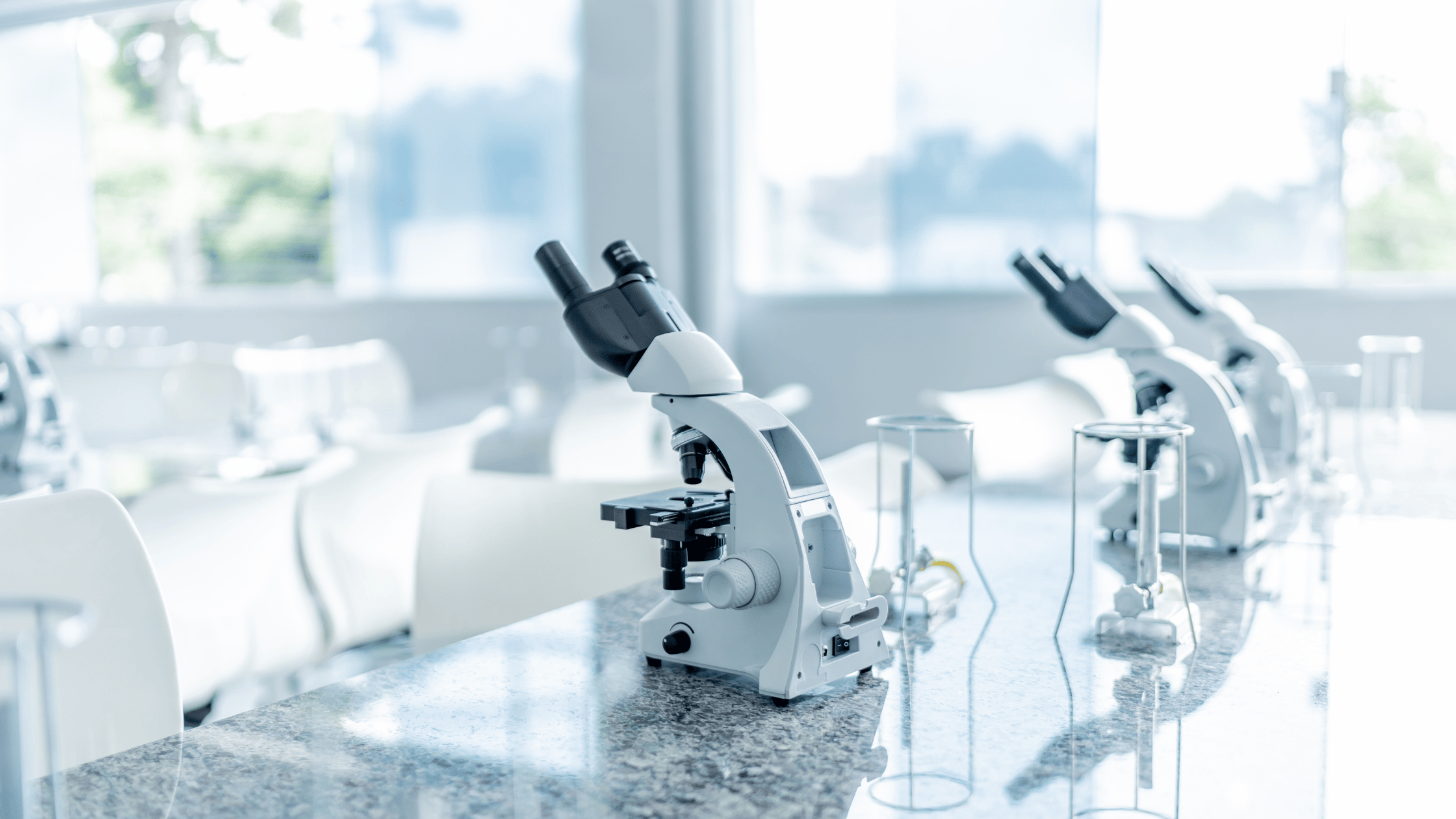 Laboratory
